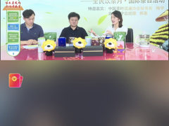 首个国际茶日，中茶协秘书长梅宇苏宁开直播推广茶文化