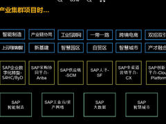 SAP发布产业集群策略，助力中小企业打造数字能力