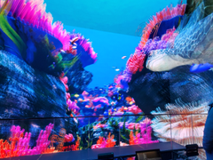 科视潘多拉魔盒服务器为青岛市的 3D 沉浸式可视化项目提供令人叹为观止的视觉体验
