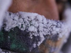 使鹿鄂温克最后的“森林”女王