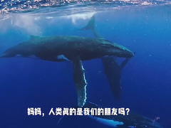 “鲸碳之歌”公布获奖！对白及短视频改编竞赛近千人参与