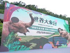 浪潮以计算之力 守护300头亚洲象