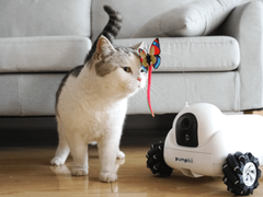全球首款宠物保姆机器人上架，众筹价仅149美元