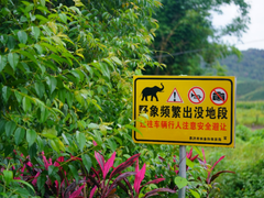马云号召用科技解决人象冲突 这家科技企业已率先行动落地