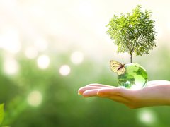 NEC公布了基于经营理念“NEC Way”创造企业价值的ESG举措