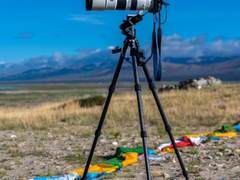 索尼Alpha 7R IV配合SEL200600G拍摄野生动物是否可行？