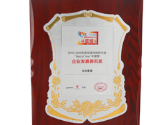 台达荣膺 2019-2020 年度信息化视听行业“磐石奖”