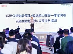 阿里云推出业内首个云原生企业级数据湖解决方案，将在今年双11大规模应用