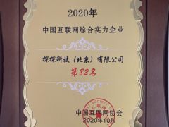 探探上榜“2020年中国互联网企业综合实力百家企业”