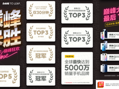 开售30分钟超去年全天成绩 realme双11销量表现抢眼