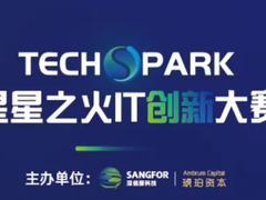 三强结果出炉！2020 TECHSPARK星星之火IT创新大赛总决赛顺利落幕