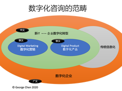究竟什么咨询服务算是“数字化咨询”
