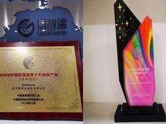 易智瑞GeoScene入选“2020中国智慧城市十大科技产品”