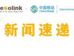 润联科技助力中移国际一站式企业协作平台上线！