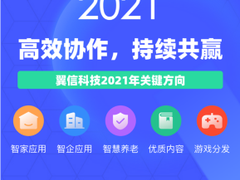 翼信科技：跨越2020，迎接2021