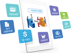 如何成功采用电子采购系统？