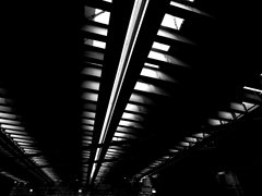 索尼FE 20mm F1.8 G镜头一周年长测