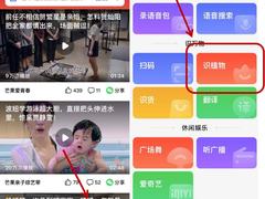 不去广场也能学会广场舞，百度大字版App还有多少隐藏功能？