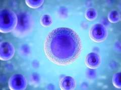 细胞治疗时代：干细胞临床治疗成功案例不断，干细胞存储被重视
