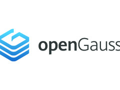 开源一年，openGauss诠释什么是快速成长