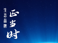 以海尔创牌之路，致敬中国品牌日！