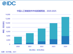 2020中国AI公有云服务市场研究报告