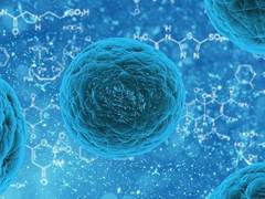 干细胞行业快速发展，博雅助力临床转化