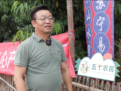 128元/个！阳山水蜜桃真成了“爱马仕”，价格创历史新高