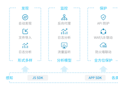API成数据安全最大风险敞口，如何打赢数字时代的“数据保卫战”？