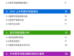 《天际友盟DRP数字风险防护报告（2021年上半年）》重磅发布