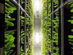 资本为什么会盯上国产数据库？