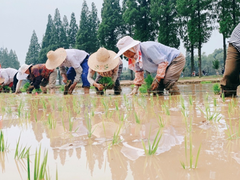 积极响应丰收节，苏宁易购将举行“科技兴农”直播大赛