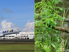 佳能发布RF100-400mm F5.6-8 IS USM和RF16mm F2.8 STM