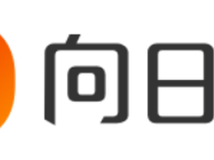 汽车诊断仪高效远程运维，向日葵助力星卡科技打造智能检测设备