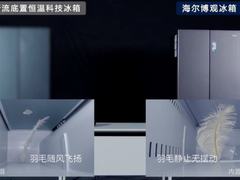 为何宁肯多花点钱也要买海尔冰箱？一根羽毛给出了答案