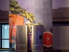 比肩德国品牌！德国STIWA测评榜：2款海尔冰箱上榜