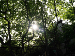 我的挂机之选——索尼G大师镜头FE 35mm F1.4 GM