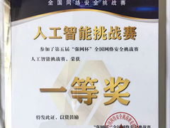 第五届“强网杯”：奇安信斩获人工智能挑战赛第一名