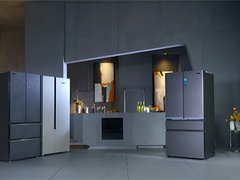 盖住商标做测试，哪家冰箱好？