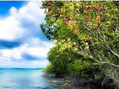 HPE以科技应对气候变化，助力实现1.5°C温控目标