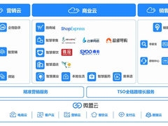 揭开微盟百万商家营销大战背后的数据库秘密