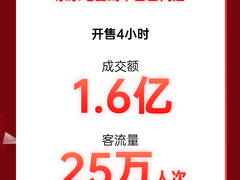 线下11.11晚8点人气火爆 京东电器自营门店开场4小时到店25万人次
