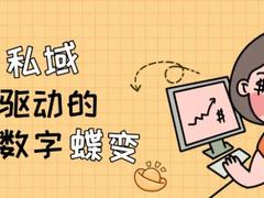 抖音私域，粉丝驱动的企业经营数字蝶变｜甲方财经观察