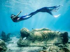 索尼Alpha 1——强劲而轻盈的完美