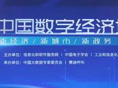 实力见证！蓝凌荣获“2021数字政府杰出服务商”