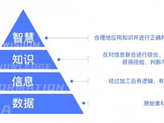 大树科技杨善征：传统金融数字化转型是大势所趋