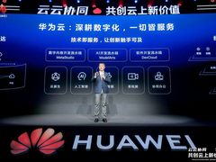 华为张平安：聚力前行，共创云上新价值