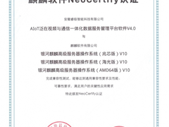 打造安全可靠信创产品 睿极智能推进国产化兼容性互认