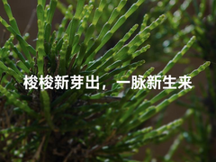 lipro、PANDAER、mblu 三大新生力量齐聚，魅族冬季新品发布会精彩上新