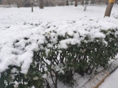 光追游戏本享受苏宁易购官方补贴，购联想拯救者可赢取精美好礼